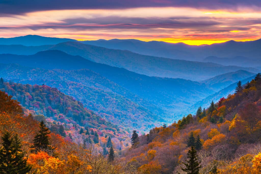 Perfect Professional Floors in Tennessee Smoky Mountains National Park, Tennessee, USA autumn landscape at dawn. Floors in Tennessee