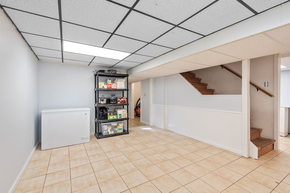 how-to-spot-a-real-expert-in-the-wild-world-of-basement-coatings-image expert basement coating installers
